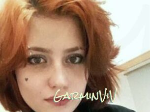 GarminViV