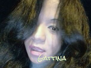 Gattina