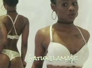 Gatubela_masc