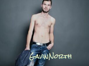 GavinNorth