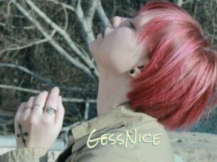 GessNice
