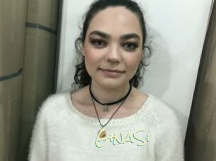 GinaSi