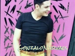 GonzaloNarvaes