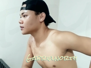 Gabrielnorth