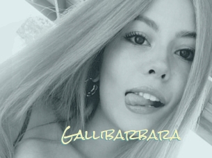 Gallibarbara