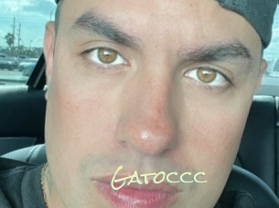 Gatoccc