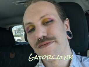 Gatorcatnb