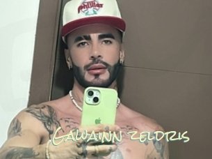 Gawainn_zeldris