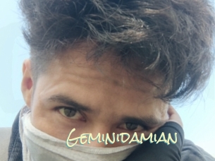 Geminidamian