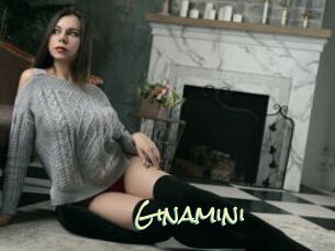 Ginamini