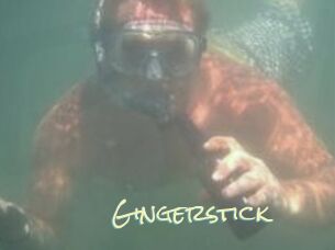 Gingerstick