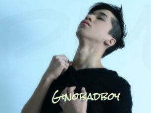 Ginobadboy