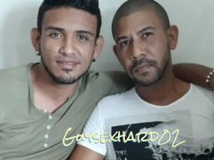 Guysexhard02