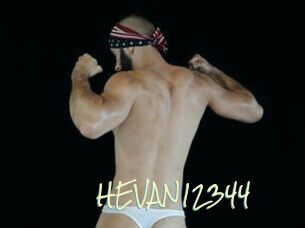 HEVAN12344