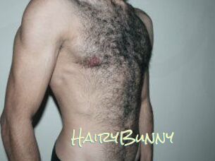 HairyBunny