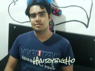 HairybigHo