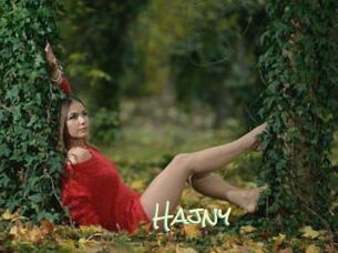 Hajny