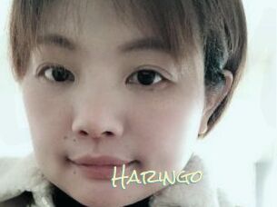 Haringo