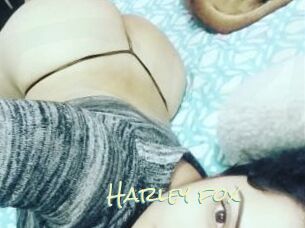 Harley_fox