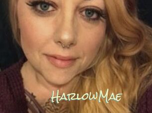 Harlow_Mae