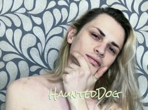 HauntedDog