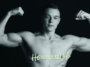 HeilgarVip