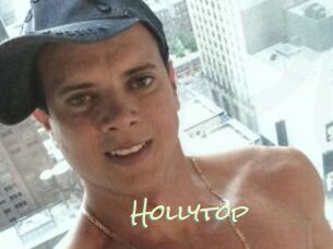 Hollytop