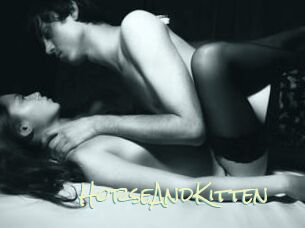 HorseAndKitten