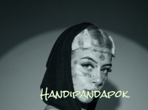 Handipandapok