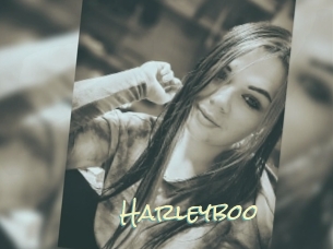 Harleyboo