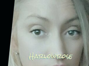 Harlowrose