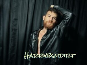 Harrybsmdirt