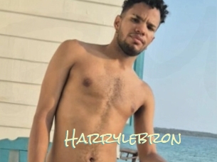 Harrylebron