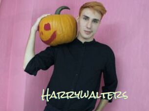 Harrywalters