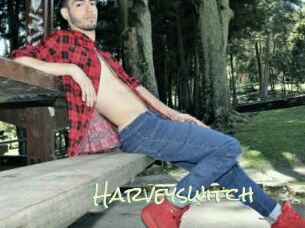 Harveyswitch