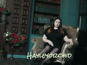 Hayleyorchid
