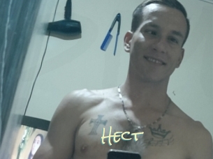 Hect