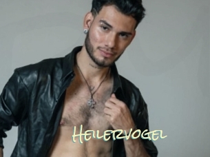 Heilervogel