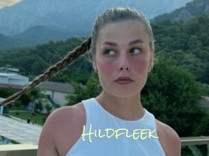 Hildfleek