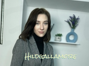 Hildgallamore