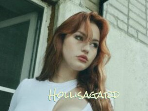 Hollisagard