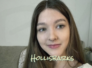 Hollisbarks