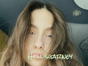 Hollisgarney