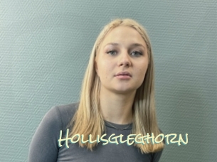 Hollisgleghorn