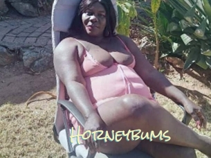 horneybums Porn Monkey Cash