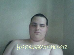 Horsesbatchelor
