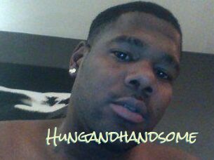 Hungandhandsome