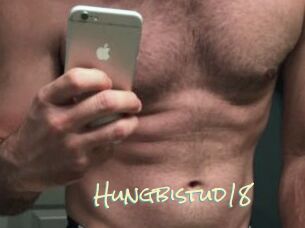 Hungbistud18
