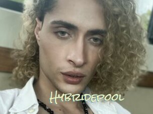 Hybridepool