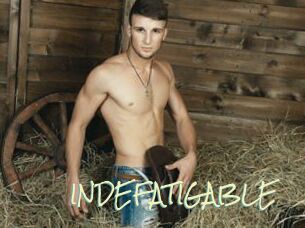 INDEFATIGABLE